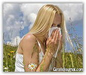 Как лечить насморк аллергический Как лечить насморк аллергический